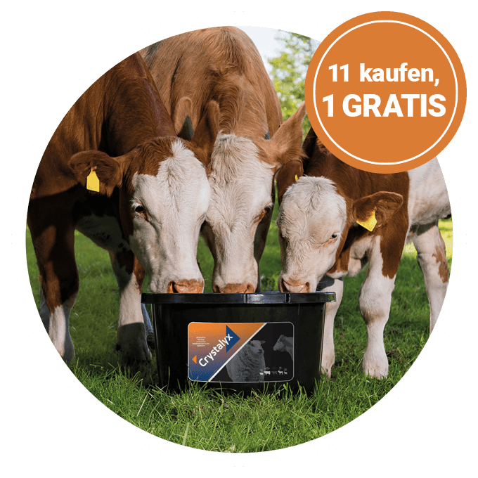 produktbubble crystalyx 680x680